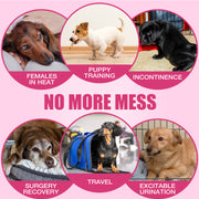 Dono female dog diaper use case infographic showing 6 scenarios: females in heat, puppy training, incontinence, surgery recovery, travel, and excitable urination — 