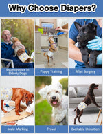 Dono male dog wrap diaper 