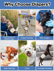 Dono male dog wrap diaper 