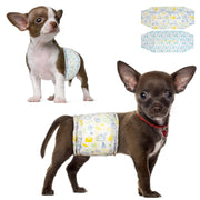 Two Chihuahua puppies wearing Dono disposable male dog wrap diapers — brown-and-white puppy in teal pet-icon print and dark brown puppy with red heart collar in yellow pet-icon print — with both diaper designs shown flat, on white background