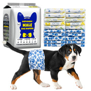 Greater Swiss Mountain Dog puppy wearing Dono's Diary disposable male dog diaper in blue paw-print pattern, side view looking at camera; Dono's Diary Disposable Male Dog Diapers M packaging (blue dog silhouette with bow tie, 