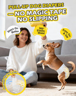 Chihuahua jumping while wearing Dono pull-up female dog diaper in yellow paw print pattern, with woman playing indoors, highlighting no magic tape, 360° elastic waist, easy on and off, and 1.2in stretch