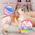 Cream Chihuahua wearing Dono disposable pull-up female dog diaper in pink paw-print pattern, 