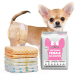 Fawn Chihuahua wearing Dono's Diary disposable female dog diaper in orange gingham print, rear three-quarter view looking at camera, with stack of four folded diapers (orange gingham, yellow polka dot, green stripe, blue paw-print) and Dono's Diary XXS packaging, on white background
