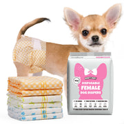 Fawn Chihuahua wearing Dono's Diary disposable female dog diaper in orange gingham print, rear three-quarter view looking at camera, with stack of four folded diapers (orange gingham, yellow polka dot, green stripe, blue paw-print) and Dono's Diary XXS packaging, on white background