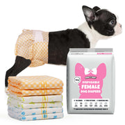 Black-and-white French Bulldog puppy wearing Dono's Diary disposable female dog diaper in orange gingham print, side view, with stack of four folded diapers (orange gingham, yellow polka dot, green stripe, blue paw-print) and Dono's Diary XS packaging, on white background