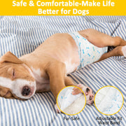 Beagle puppy lying on striped bedding wearing Dono disposable male dog wrap diaper in bone print pattern, with close-ups highlighting fur-safe fasteners and adjustable fit waist band, captioned 