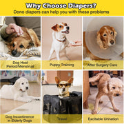 Dono female dog diaper use case infographic showing 6 scenarios: dog heat period and menstrual, puppy training, after surgery care, dog incontinence in elderly dogs, travel, and excitable urination