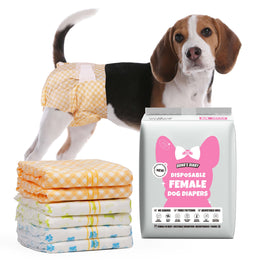 Tricolor Beagle wearing Dono's Diary disposable female dog diaper in orange gingham print, side view, with stack of three folded diapers (orange gingham, yellow polka dot, blue paw-print) and Dono's Diary M packaging, on white background
