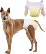 Thai Ridgeback wearing Dono pull-up disposable female dog diaper in yellow paw print pattern, XL size, with hands holding the diaper open showing elastic waistband, on white background