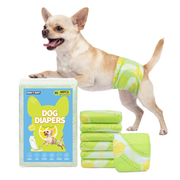 Chihuahua wearing Dono's Diary male dog belly band diaper in green tennis ball pattern, with product packaging and stacked diapers, XS size 40-count on white background